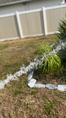 Resident waters garden plants in Cape Coral yard