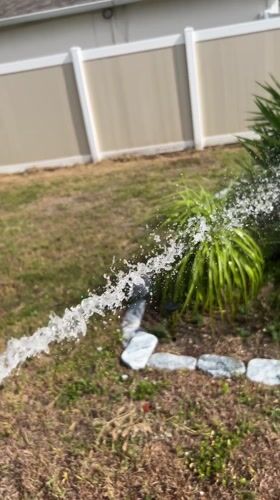 Resident waters garden plants in Cape Coral yard