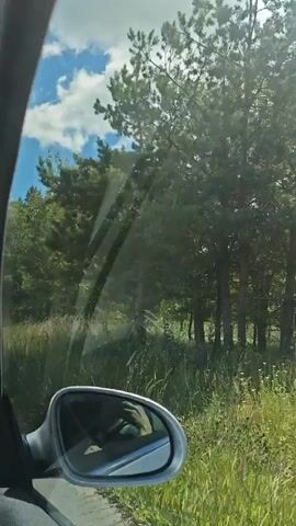 The video is from the perspective of someone in a car, looking out the passenger side window. The car appears to be driving on a paved road next to a grassy area with trees. The sun is shining, and there are clouds in the sky. The side mirror of the car is visible, reflecting the face of the driver.