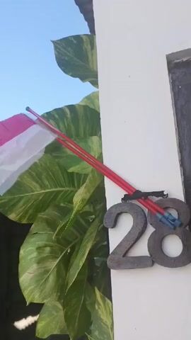 A vertical, outdoor, close-up shot captures an Indonesian flag, red on top and white on the bottom, attached to a red pole and secured by a black string to a white column. The flag flutters gently in the breeze. Behind the flag, large, green leaves with yellow variegation are prominent, suggesting a tropical environment. To the left, a rustic wooden structure with a corrugated metal roof is partially visible, and a bicycle leans against its side. The background is a clear, bright blue sky. The white column features dark wooden numbers, "28," affixed to it. The overall scene appears serene and domestic.