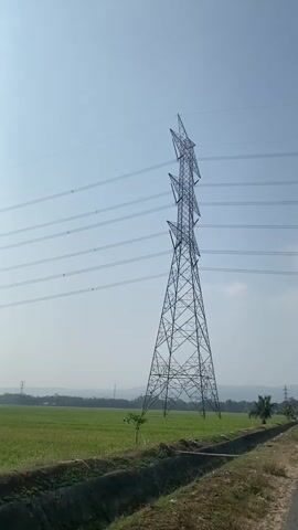 A low-angle, full-shot, vertical video shows a tall, lattice-style electricity transmission tower under a clear blue sky. The tower is surrounded by a green field and appears to be in a rural or semi-rural area. Several power lines extend horizontally from the tower. A small palm tree is visible to the right of the tower. A ditch runs along the bottom of the frame. The video is still and there are no people or animals visible.