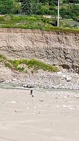 A person walks with a dog on a sandy riverbank. Behind them, a steep, eroded cliff face rises, showing distinct layers of soil and rock. Green vegetation grows along the top of the cliff and the surrounding hills. The river is visible in the middle ground, with rocky shores. The overall scene depicts a natural landscape with human and animal presence.