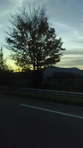 The video shows a view from a moving vehicle, likely a car, driving on a road. The road has a white line marking the lanes. A guardrail is visible on the side of the road. Beyond the guardrail, there's vegetation, primarily trees, silhouetted against the sky. The sky is a mix of light blue and yellow, indicating either sunrise or sunset. The camera angle is from inside the vehicle, looking out the side window. The reflection of the side mirror is slightly visible. The overall impression is of a drive through a rural or semi-rural area during dawn or dusk.