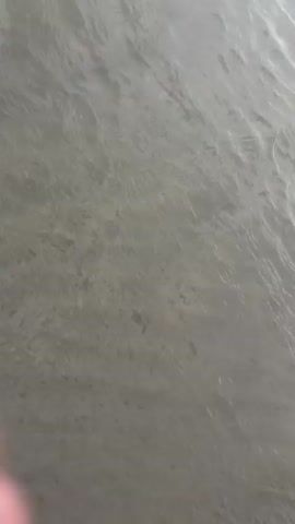 The video shows a close-up, side-view of rippling water. The camera is positioned close to the surface of the water, capturing the textures and patterns created by small waves. The water appears to be a light gray or silver color, with subtle highlights reflecting off the surface. In the background, a faint line of dark green trees can be seen against a pale sky. The overall impression is one of a calm, natural environment.