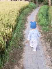 Wandering through rice fields at golden hour, Sukosari