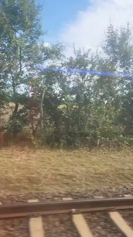 A video taken from a moving train, looking out a window at a rural landscape. Train tracks are visible in the foreground, with ballast and sleepers. Beyond the tracks, there is dry grass and some bushes. Further in the background, there are trees with green foliage and a field with green grass. The sky is blue with some clouds. The sun appears to be shining, as indicated by lens flare on the glass. The video shows a slight blur, consistent with movement.