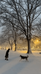 Heavy snow blankets María Hernández Park as New Yorkers brave storm