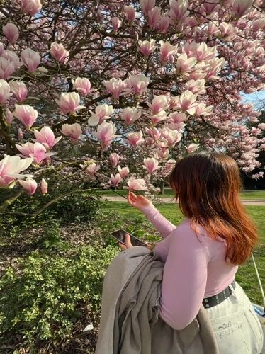 Spring Day Activities Captured Across Strasbourg Parks