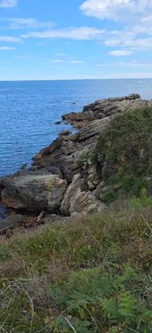 The video shows a rocky coastline with the sea in the background. The water is a clear blue color, and the sky is a lighter blue with some clouds. The rocks are a dark gray and brown color. There is some green vegetation growing on the rocks and the land in the foreground. The camera pans slowly to the left.