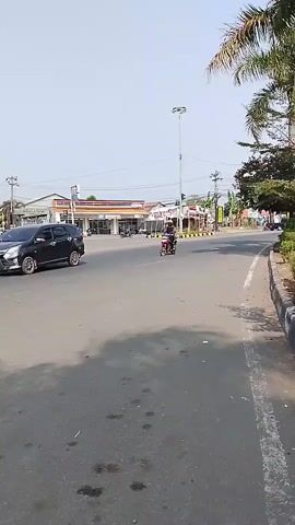 The video captures a sunny daytime view of a two-lane road. In the foreground, the asphalt road shows some dark stains and shadows. A person on a red motorcycle is riding away from the camera in the middle of the road. On the right side of the road, there is a sidewalk with a curb, a grassy area, and palm trees. On the left side of the road, there are several buildings, including what appear to be shops with awnings. Some cars and motorcycles are visible in front of these buildings. The sky is clear and bright.