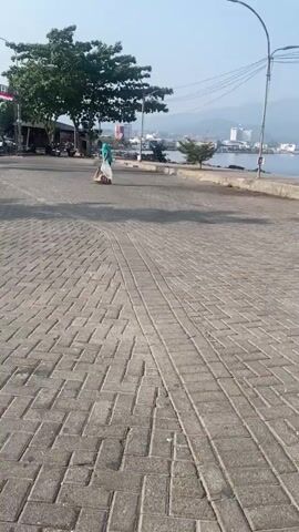 The video shows a person dressed in a blue shirt and white pants sweeping the ground with a broom. The person is standing on a paved area made of interlocking bricks. To the right of the paved area is a body of water, likely the sea, with a distant city skyline visible across the water. Several trees are scattered around the area, and there are power lines overhead. The sky is clear and blue, indicating a sunny day. The person is moving slowly across the frame, continuing to sweep.