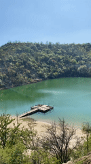Witness documents lake scenery and beetle sighting during afternoon