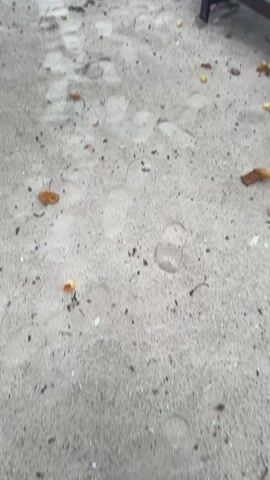 The video shows a beach with white sand, beach chairs, and turquoise water. There are three people swimming in the water. A tree hangs over the beach with decorations hanging from its branches. The sky is overcast. There are small brown leaves scattered on the sand.