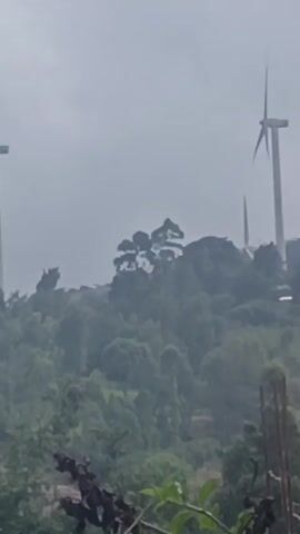 The video shows wind turbines atop a hill with trees, shot on a cloudy day. The camera's view is partially obstructed by wooden poles and foliage in the foreground. Someone is speaking in the background.