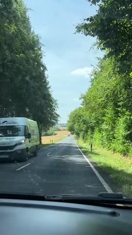 The video shows a point-of-view shot from inside a car driving on a paved road. The road is flanked by dense green trees on both sides, with the foliage creating a tunnel-like effect. To the left of the road, beyond the trees, is a field of golden crops. The sky is blue with some scattered white clouds. A few other vehicles are visible on the road in the distance. The overall scene suggests a scenic drive through a rural, wooded area on a clear day.
