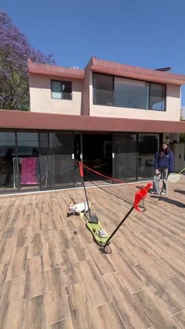 The video shows three people and a small dog on a tiled patio. A woman in a blue jacket and jeans is holding a badminton racket and attempting to hit a tennis ball towards a small badminton net with a red flag attached. The dog is excitedly jumping and chasing the ball. Another person is visible standing to the right, wearing a hoodie and holding a bag. A building with a pinkish-tan exterior, large glass windows and a brown roof is in the background. A tree with purple blossoms is on the left side. The sky is blue. The scene appears to be a casual outdoor game being played on a sunny day.