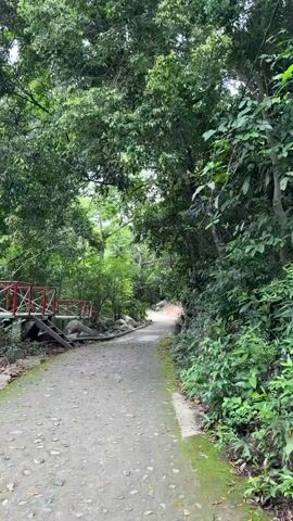 The video shows a person walking down a paved path through a lush, green forest. The path is lined with trees and foliage on both sides, and there is a small red bridge to the left. The sun is shining, creating dappled light on the path. The person is walking away from the camera, and their identity is not visible. The video is shot from a first-person perspective, giving the viewer the impression that they are walking along the path.