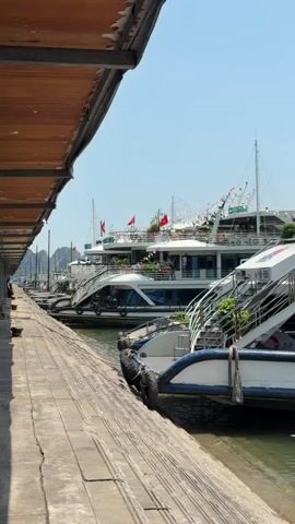 The video shows a dockside scene in Tuan Chau Ward, Vietnam, on a bright, clear day. Several large, multi-deck white cruise boats are moored along a wooden and concrete pier. The boats are adorned with flags and festive bunting. One prominent boat features the text "PHONG HAI HARMONY" on its upper deck and a large blue whale logo on its side. People are visible on the decks and near the entrances of the boats. The water in the dock is green and calm. The sky is clear and blue. Tires are used as bumpers between the boats and the dock. The overall atmosphere suggests a busy port, likely for tourist excursions.