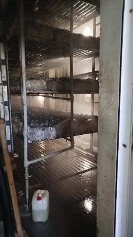 The video shows the inside of what appears to be a humidified room with multiple shelves. These shelves are holding what could be large, dark objects. Vapor or steam fills the air, creating a misty environment, and water is visible on the floor. A white container rests on the floor in the lower left corner of the frame. Outside the room, visible through the partially open door, are wooden objects and a white wall. The scene is dimly lit.