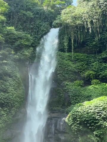 This is a video of a waterfall surrounded by lush greenery. The water cascades down a dark rock face, creating a misty spray. The surrounding vegetation is dense and vibrant green, with some vines hanging down from the trees above. The sunlight filters through the trees, illuminating the waterfall and the surrounding foliage. The video appears to be shot from a slightly elevated position, looking up at the waterfall. There are no people or man-made objects visible in the video.