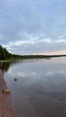 A person is paddling a blue kayak on a lake. The person is wearing a white hat and a light-colored shirt. The kayak has a green paddle. There are several seagulls flying around the kayak. The lake is calm and reflects the cloudy sky. The background shows a line of trees and some buildings. The shoreline in the foreground is sandy and has some rocks and driftwood. The video is filmed from the shore of the lake.