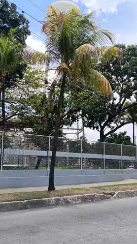 The video captures a sunny daytime drive through what appears to be an urban or suburban area, consistent with the provided context of Valencia, Venezuela.

Initially, the camera moves alongside a well-maintained property, visible through a chain-link fence topped with barbed wire. Lush green trees, including several tall palm trees, dominate the background, with some buildings partially obscured behind the foliage. A gray concrete wall forms the base of the fence, separating it from a paved sidewalk and a road.

As the video progresses, the perspective shifts to inside a car, showing the road ahead as the vehicle approaches an intersection. A blue sedan is stopped in front. The car's side mirror is prominently featured, reflecting the driver who is holding a smartphone, presumably recording the video. The driver appears to be wearing a white and purple sleeveless jersey. In the distance, multiple traffic lights are visible, with red signals indicating a stop. Overhead, power lines crisscross, and large transmission towers stand against a bright blue sky dotted with white clouds. Palm trees and other tropical greenery continue to line the roadside and background, reinforcing the warm weather setting. The overall impression is a typical day on the road in a vibrant, sun-drenched environment.
