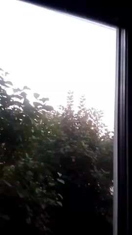 The video captures a view through a window at dusk in Batovo, Russia. The scene is dominated by the silhouettes of trees and foliage against a pale, overcast sky. The light suggests either early morning or late evening, with the sky displaying soft hues of white and pink. There are no people visible in the frame. The window frame itself, dark and in focus, suggests an indoor perspective looking outwards. The overall atmosphere is quiet and serene, with the subtle shift in the sky's color hinting at the transition between day and night. The lack of specific landmarks makes it difficult to pinpoint a precise location within Batovo, but the natural setting of trees and the overcast sky are the most prominent features.