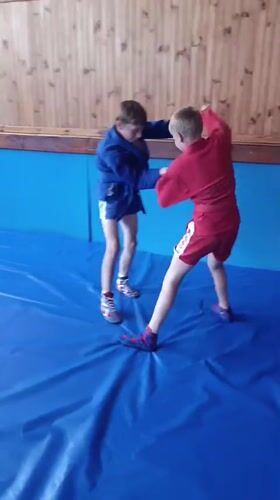 Sambo training session on the mat in Ladyzhyn