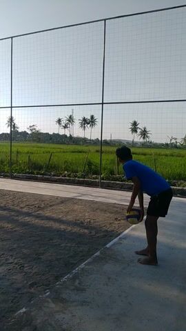 A person in a blue t-shirt and black shorts is playing volleyball. They are on a dirt court with a net. In the background, there is a green field with palm trees. The person is in the process of serving the volleyball. The sun is shining and the sky is clear.