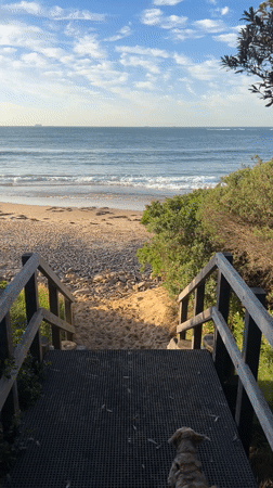 Dog walks down beach stairs in Bulli