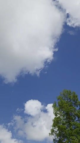 The video shows a sky with puffy white clouds and some blue sky visible between the clouds. A treetop is visible in the lower right corner of the first frame. The sun is visible, partially obscured by clouds, in the upper center of the third and fourth frames.