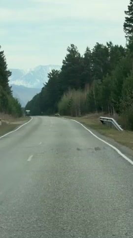 The video shows a straight paved road extending into the distance, flanked on both sides by dense evergreen forests. Snow-capped mountains are visible in the far background under a light, overcast sky. The road appears to be for two-way traffic, marked with a broken white line in the center and a solid white line on the right edge. A small metal guardrail is partially visible on the right side of the road in the foreground. In the distance, a green vehicle, possibly a bus or truck, can be seen moving away from the viewer. The asphalt road shows some wear and tear. The scene depicts a drive through a mountainous, forested region, likely in the daytime, with the location specified as Сизая, Russia. No visible text is present.