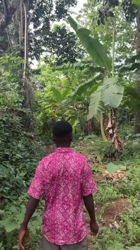 Young man films walk through rural Nigerian village
