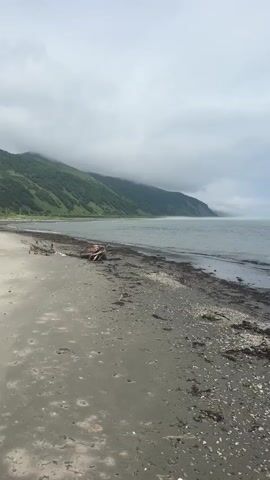 A vertical video of a desolate beach scene on a cloudy day. The foreground is a sandy beach littered with seaweed and shells. In the midground, the gentle waves of a gray ocean wash ashore. In the background, a lush green, mist-shrouded mountain slopes down towards the sea. The horizon is indistinct due to the fog, with only a hint of blue sky peeking through the clouds. The overall mood is somber and quiet, with no signs of human presence.