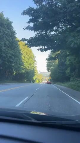 A first-person perspective video shows a driver's view of a tree-lined road leading to a city skyline. The road is paved with a center line and a dashed white line on the right side. Several cars are driving in the same direction, some in the left lane and some in the right lane. The trees on both sides of the road are lush and green, with sunlight filtering through the leaves. In the distance, the city skyline is visible, with tall buildings and a bridge. The sky is clear and blue. The video appears to be shot during the daytime, likely in the morning or late afternoon due to the angle of the sun.