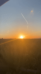 Sunset observed through tall grass near Sofia, Bulgaria
