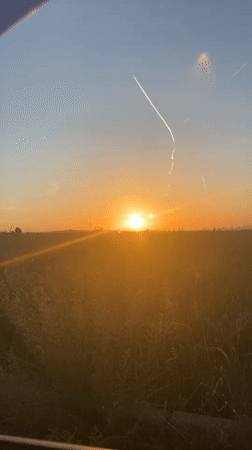 Sunset observed through tall grass near Sofia, Bulgaria