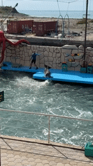 Marine animal show with dolphins, sea lions performed in Sukko
