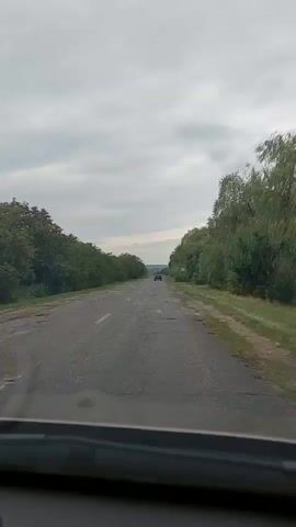The video captures a first-person perspective of driving on a paved road with numerous potholes. Dense green trees line both sides of the road. The sky is overcast with gray clouds. In the distance, a dark-colored vehicle is visible, and a round traffic sign with the number 50 is present on the right side of the road.