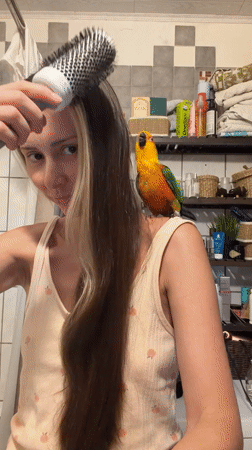 Woman's daily routine with pet parrot documented in Khimki