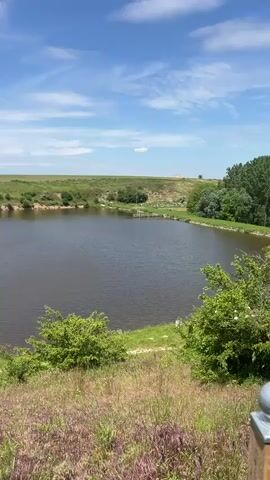 The video shows a scenic view of a lake under a bright blue sky with scattered clouds. The camera pans from a grassy hillside with purple flowers towards the lake.  On the opposite side of the lake, there is a green, grassy field with a few scattered trees. In the distance, a long white building complex is visible.  The camera then moves along a wooden railing that overlooks the lake, revealing a small dock extending into the water.