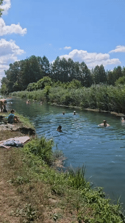 Lazy summer swim day on a green Hungarian riverbank