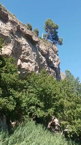 The video shows a high cliff face with trees growing at its base. Lush green vegetation covers the lower part of the cliff. In the distance, a large tree is visible, with a pathway and a seating area beneath it. The video then shifts to focus on a small pool of water at the base of the cliff, with a thin waterfall cascading into it. The area appears to be a natural setting, possibly a park or a nature reserve, with a clear blue sky overhead.