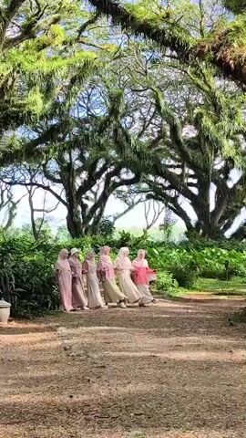 Six individuals are standing on a gravel path in an outdoor setting. They are all wearing headscarves and long dresses in various shades of pink and white. The individuals are facing the camera, and some appear to be interacting with each other, possibly posing for a photograph. Behind them, large trees with extensive, moss-covered branches create a canopy overhead. The trees are lush with green foliage, suggesting a natural, possibly tropical, environment. The ground is covered in gravel and some scattered leaves. The lighting suggests it is daytime with sunlight filtering through the trees.