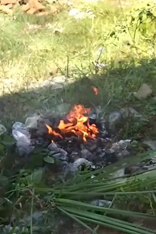 The video shows a small fire burning in a grassy area. The fire is surrounded by plastic bags, some charred and some still intact. Smoke is rising from the fire. The grass around the fire is green and there are some weeds and other plants visible. In the background, there is a pile of bricks. There is no indication of people present.
