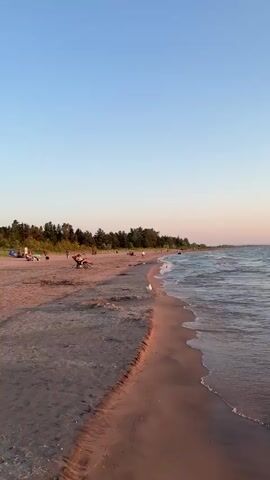 This is a vertical video of a beach with calm waves. The sky is a clear blue transitioning to a light pink near the horizon. A line of trees borders the beach in the distance. Several people are visible on the sand, some sitting in chairs and others standing. A bird is standing on the wet sand near the waterline. The tide is low, with the wet sand forming a distinct edge along the beach. The overall impression is peaceful and serene.