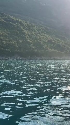 This media file captures a scenic view from a boat moving through turquoise waters. The camera is positioned low, near the waterline, looking towards a lush green, tree-covered hillside that slopes down to meet the rocky shore. The sun is visible in the upper right corner, casting a bright glare on the water's surface and creating a sense of a bright, possibly late afternoon or early morning, with clear weather.

The water is textured with ripples and small waves, indicating the boat's movement. In the foreground, parts of the boat's railing, made of metal poles and possibly rope, are visible, suggesting the perspective of someone on board. The overall scene evokes a sense of peaceful travel and appreciation for natural beauty. There are no people or identifiable objects other than the boat itself. The time of day appears to be morning or late afternoon due to the angle and intensity of the sunlight. The location, described as Provodina, Montenegro, is consistent with the mountainous coastal landscape. The mood is tranquil and serene.