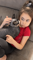 Quiet afternoon moments documented in Netanya homes