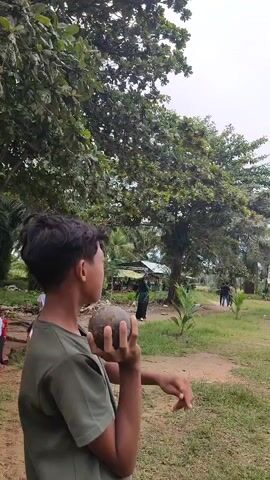 The video shows a young boy in a green shirt and blue pants throwing a coconut in an outdoor setting. He is in the foreground, holding the coconut with his right hand, cocked back, as if preparing to throw. The background depicts a grassy area with trees and some structures that appear to be houses or sheds. There are other people visible in the background, some standing and others walking. The sky is overcast. The boy is positioned in a way that suggests he is about to release the coconut with an underhand throwing motion.
