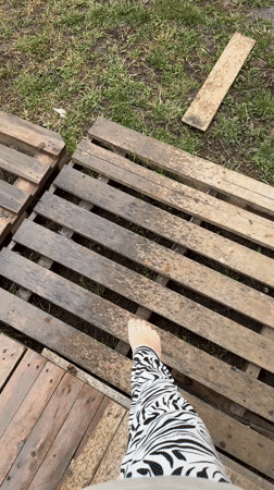 Woman documents ordinary day with cat in rural Russia